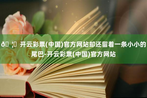 🦄开云彩票(中国)官方网站却还留着一条小小的尾巴-开云彩票(中国)官方网站