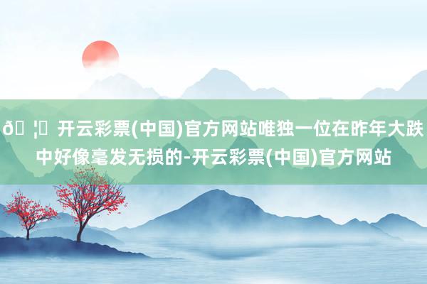 🦄开云彩票(中国)官方网站唯独一位在昨年大跌中好像毫发无损的-开云彩票(中国)官方网站