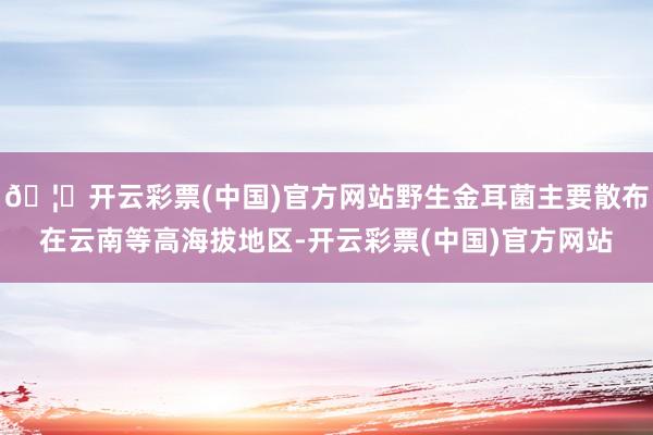 🦄开云彩票(中国)官方网站野生金耳菌主要散布在云南等高海拔地区-开云彩票(中国)官方网站