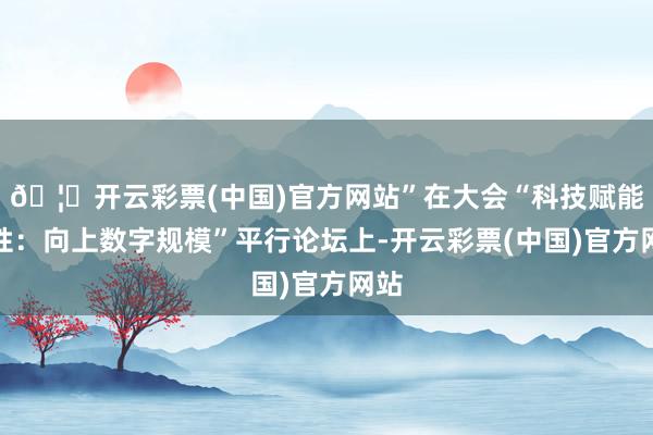 🦄开云彩票(中国)官方网站”在大会“科技赋能女性:向上数字规模”平行论坛上-开云彩票(中国)官方网站