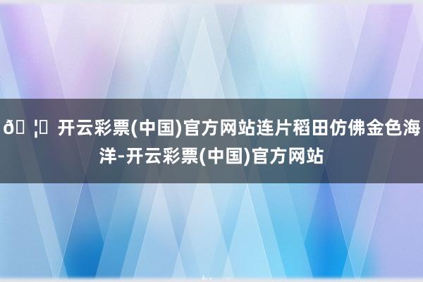 🦄开云彩票(中国)官方网站连片稻田仿佛金色海洋-开云彩票(中国)官方网站