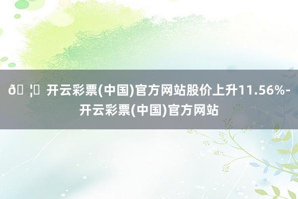 🦄开云彩票(中国)官方网站股价上升11.56%-开云彩票(中国)官方网站