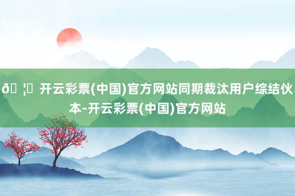 🦄开云彩票(中国)官方网站同期裁汰用户综结伙本-开云彩票(中国)官方网站