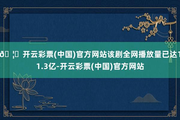 🦄开云彩票(中国)官方网站该剧全网播放量已达11.3亿-开云彩票(中国)官方网站